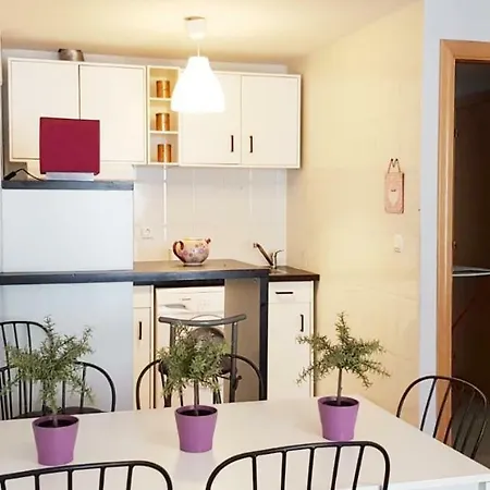 Vivienda Turistica Pirineos Xxi
